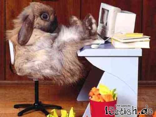 Der Osterhase hat Pause Der Osterhase hat Pause