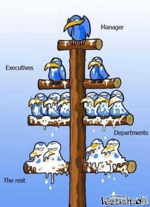 Firmenhierarchie