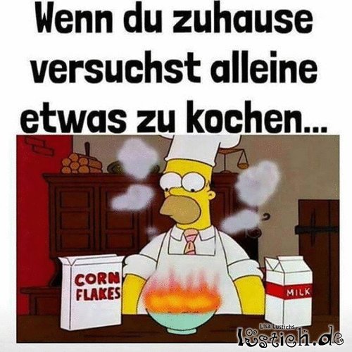 Wenn ich koche... Bild lustich.de