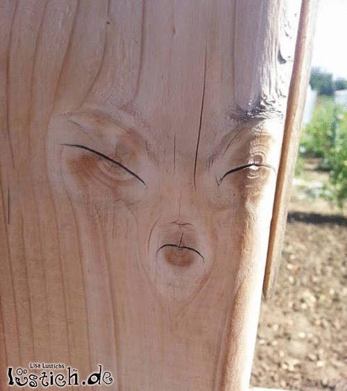 Meisterliches Holz