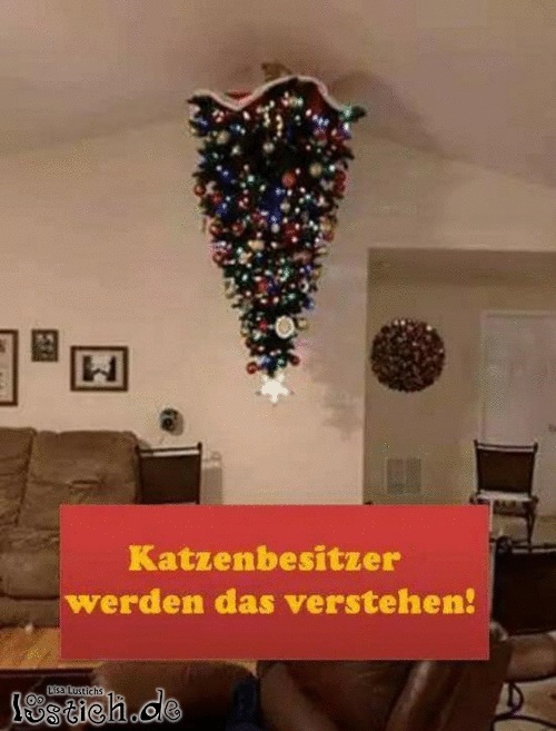 Weihnachtsbaum Bild - lustich.de