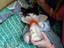 Katzenbaby