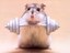 Hamsterstark