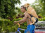 Hunde-Transport