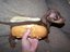 Lecker Hotdog