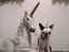 Hund als Einhorn