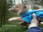 Der fliegende Hund