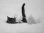 Zu viel Schnee