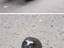Polizeikontrolle?
