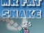 Mr Fat Snake