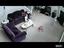 Katze attackiert Babysitterin